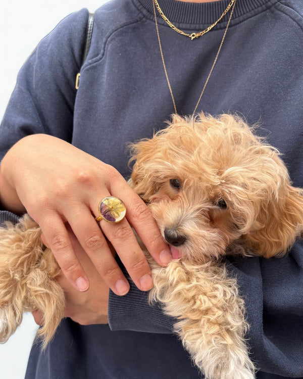 Anillo Pensamiento Vintage~ bañado en oro