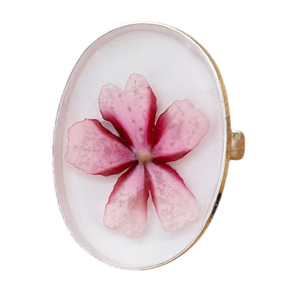 Anillo de plata Rosa de Invierno