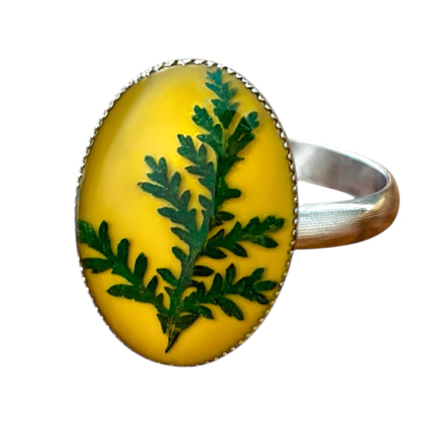 Anillo Silencio del Bosque de acero inoxidable