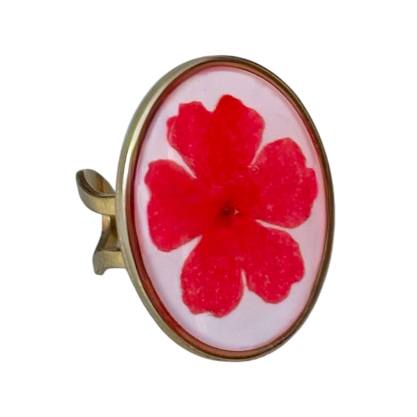 Anillo Clavel Carmesí ~ bañado en oro