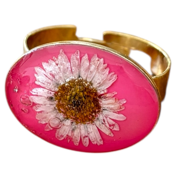 Rosa del Alba