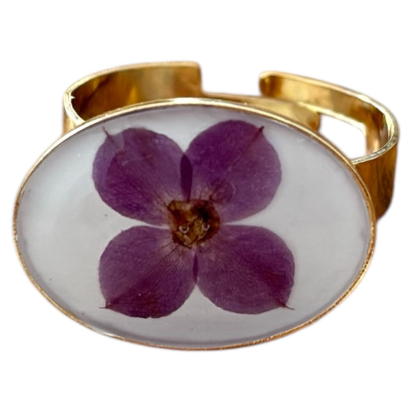 Violeta de Luz